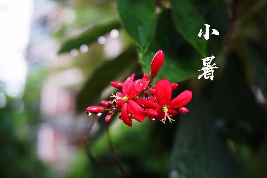 小暑|時(shí)光無涯，KA螺旋錐減速機(jī)廠家